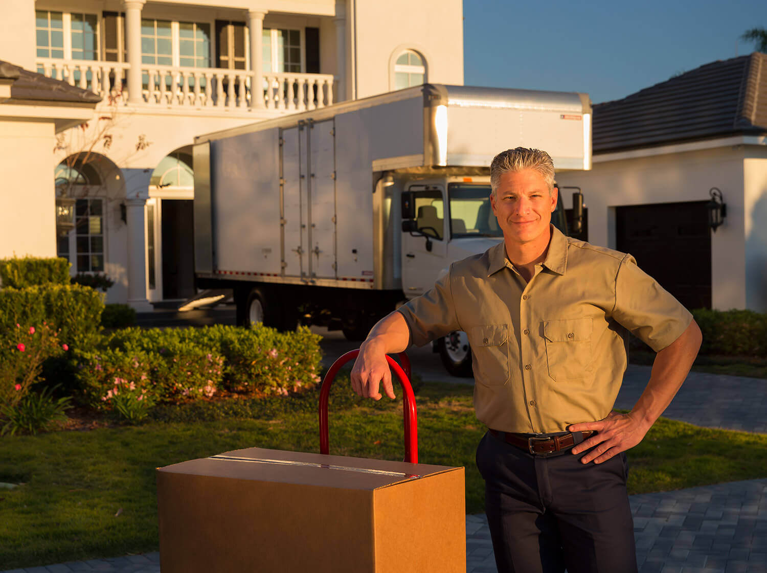 Appliance Delivery Bodies