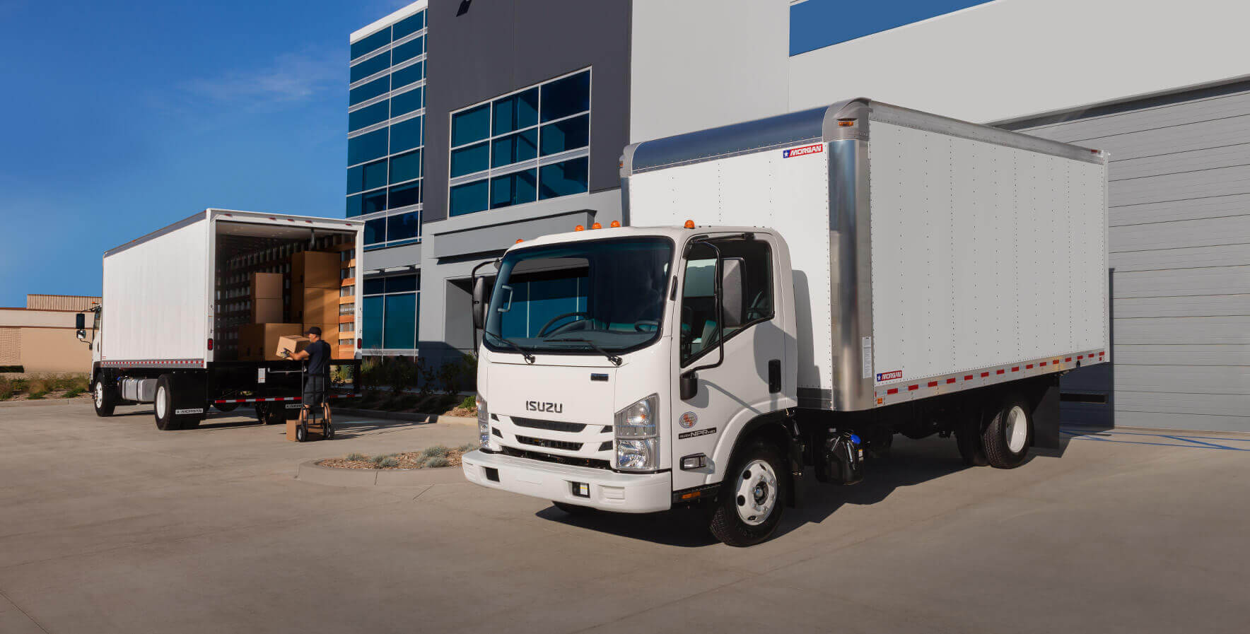 Morgan Dry Freight Gold Star