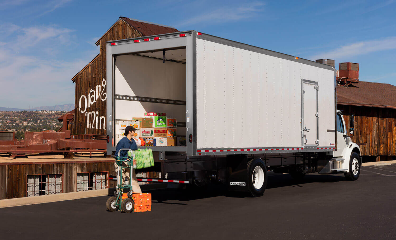 Morgan Refrigerated Cold Star